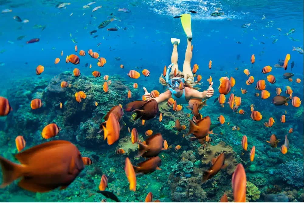 Best Snorkeling Spots in Thailand