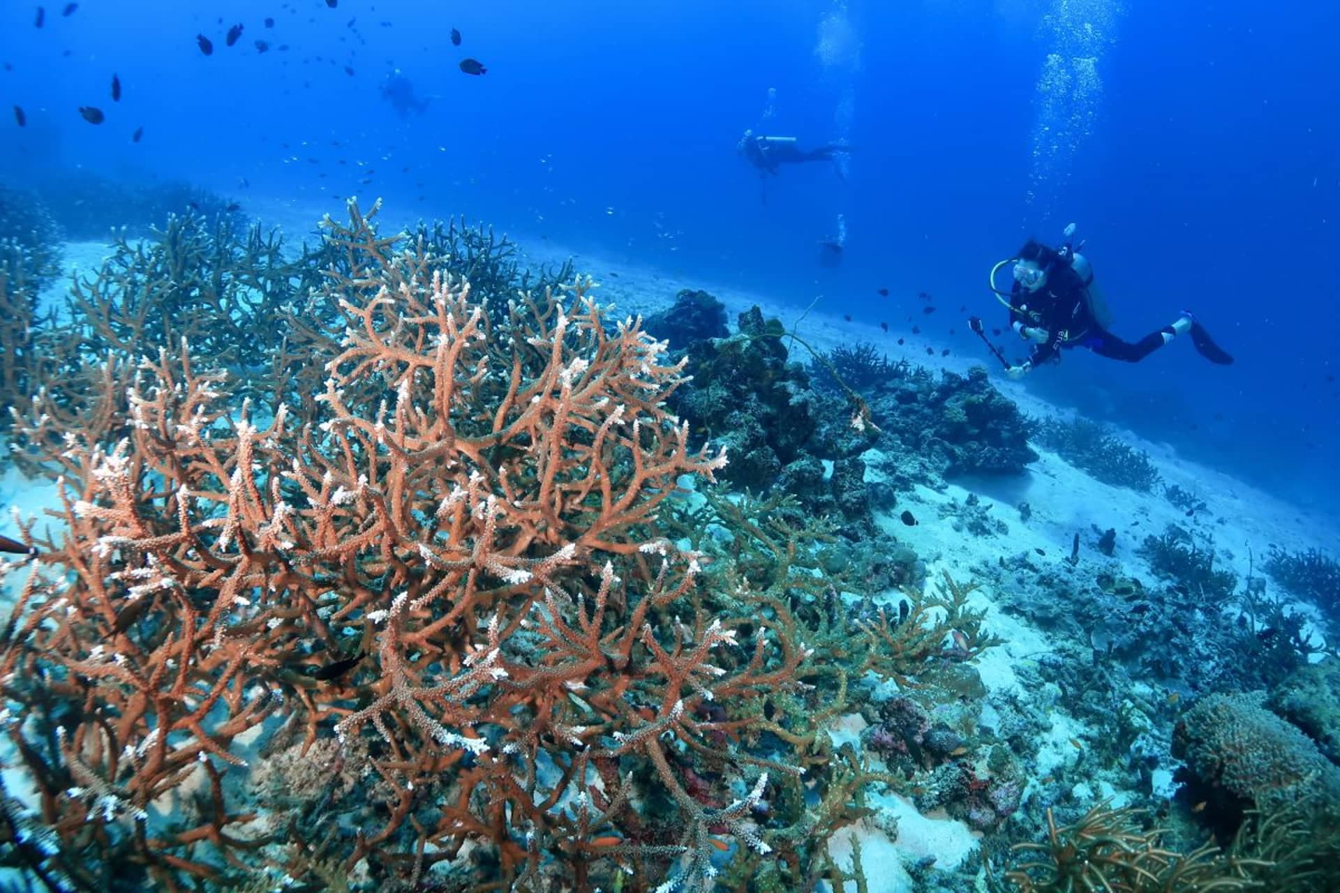 Who Should Visit Racha Noi?